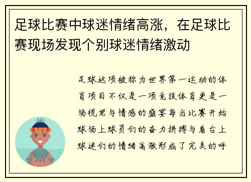 足球比赛中球迷情绪高涨，在足球比赛现场发现个别球迷情绪激动