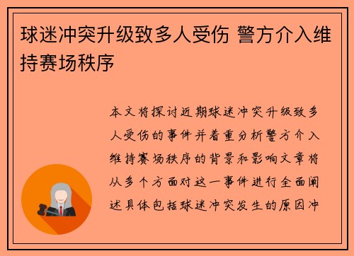 球迷冲突升级致多人受伤 警方介入维持赛场秩序